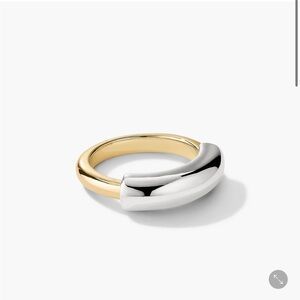 Mejuri Gold and Silver Duo Ring